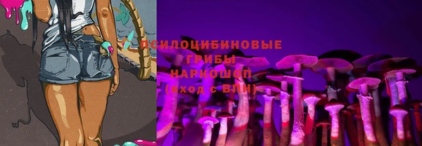 кокаин Белокуриха
