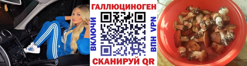 Псилоцибиновые грибы мицелий  мега ссылка  Реж  как найти закладки 