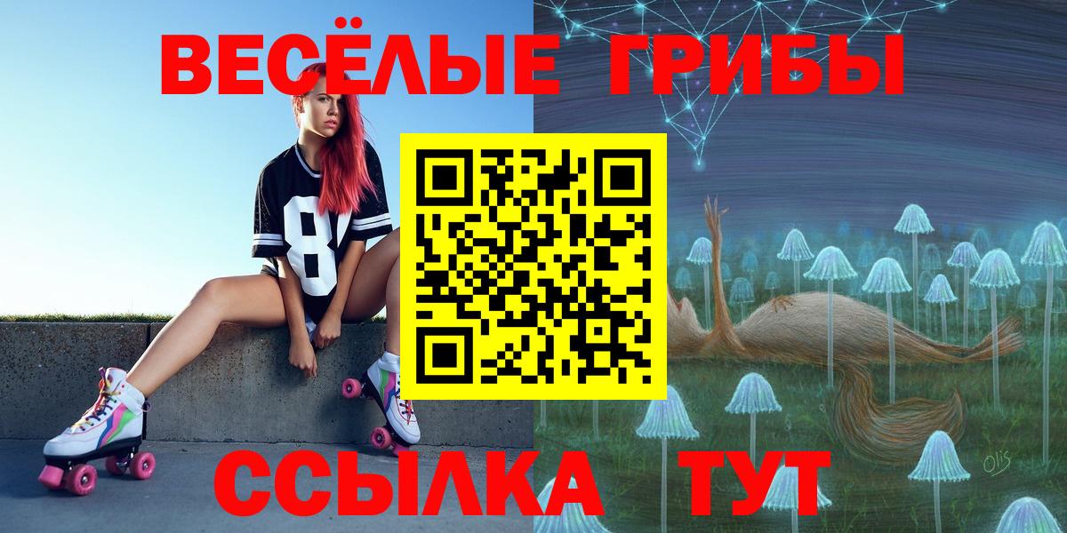 Псилоцибиновые грибы Psilocybe  Вход с VPN  Реж 