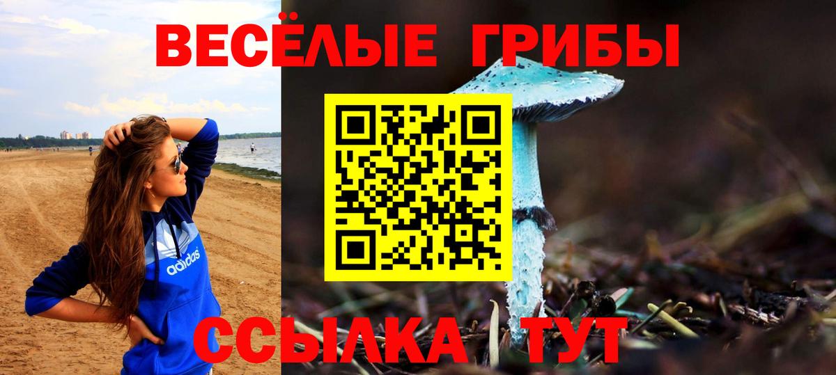 Галлюциногенные грибы прущие грибы Реж